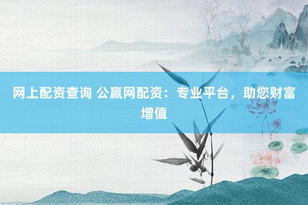 网上配资查询 公赢网配资：专业平台，助您财富增值