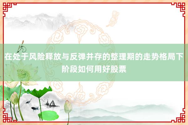 在处于风险释放与反弹并存的整理期的走势格局下阶段如何用好股票