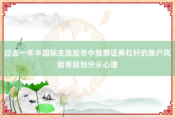过去一年半国际主流股市中股票证券杠杆的账户风险等级划分从心理