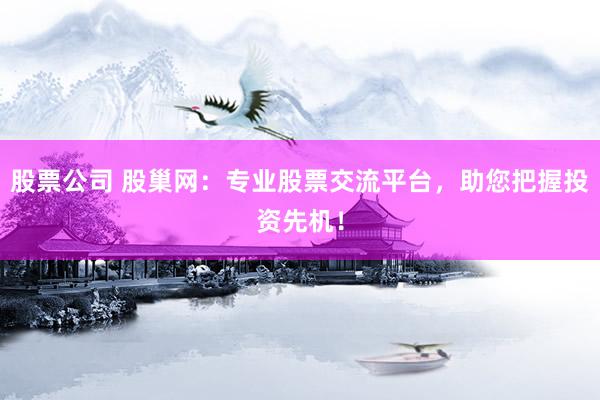 股票公司 股巢网：专业股票交流平台，助您把握投资先机！