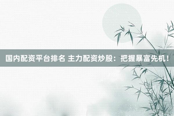 国内配资平台排名 主力配资炒股：把握暴富先机！