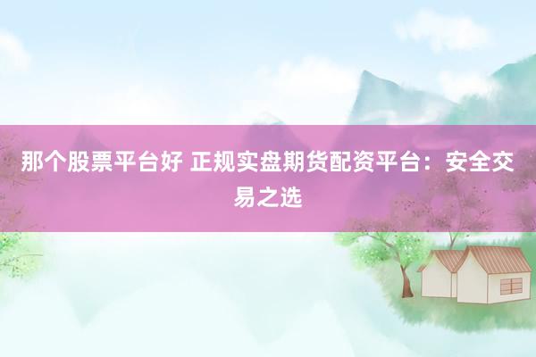 那个股票平台好 正规实盘期货配资平台：安全交易之选